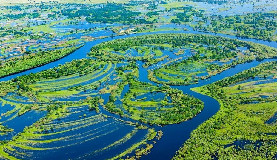 Pripyatsky National Park, Gomel Region, Belarus